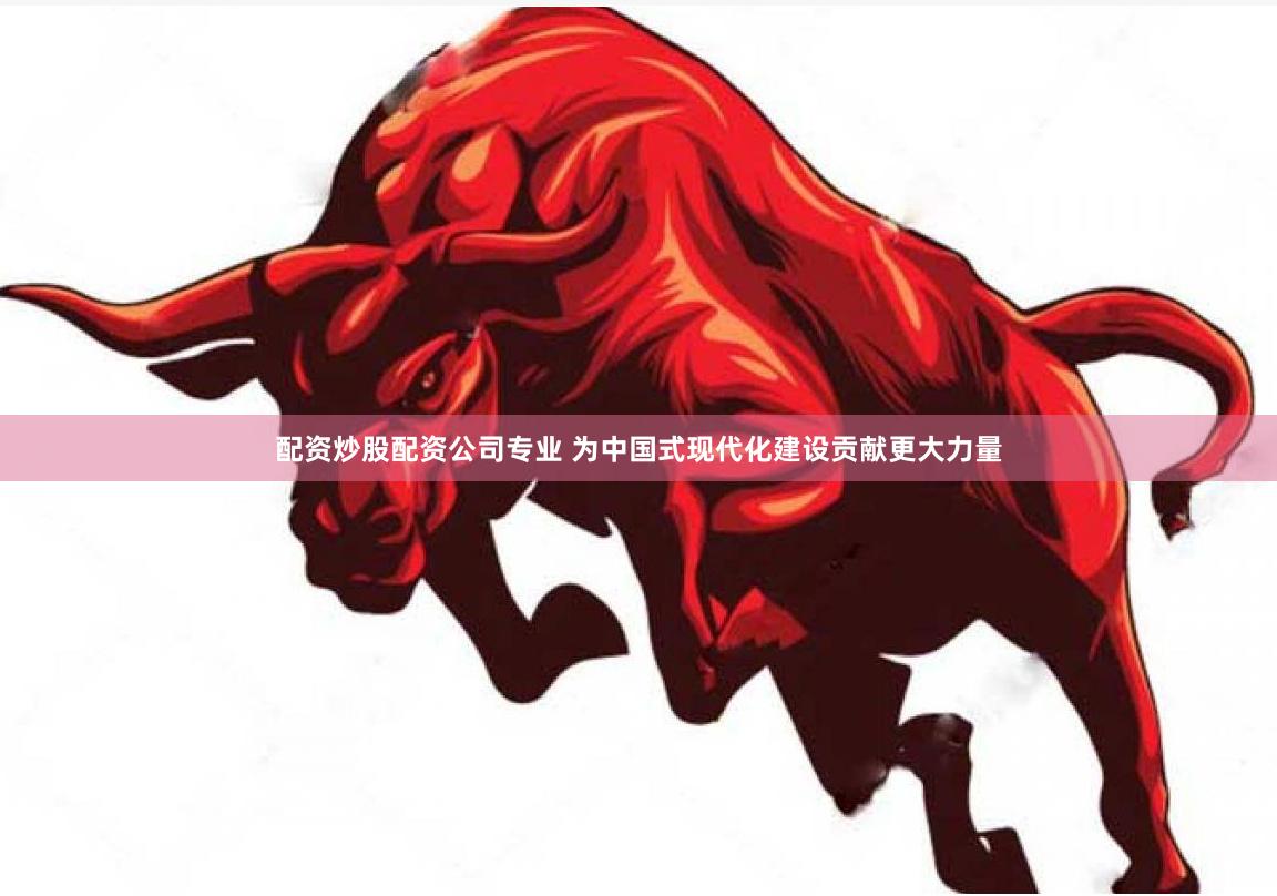 配资炒股配资公司专业 为中国式现代化建设贡献更大力量