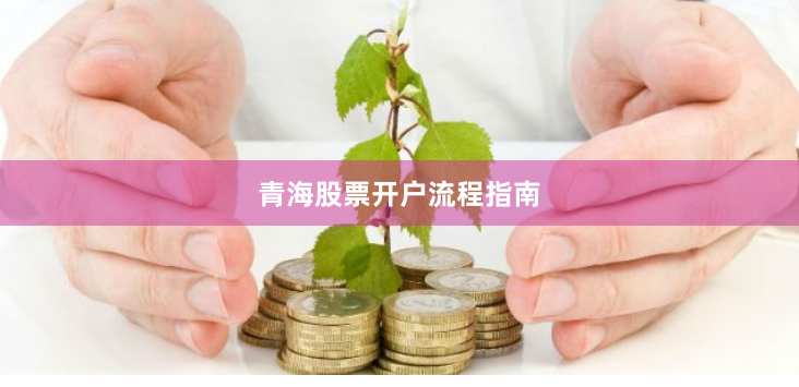 青海股票开户流程指南