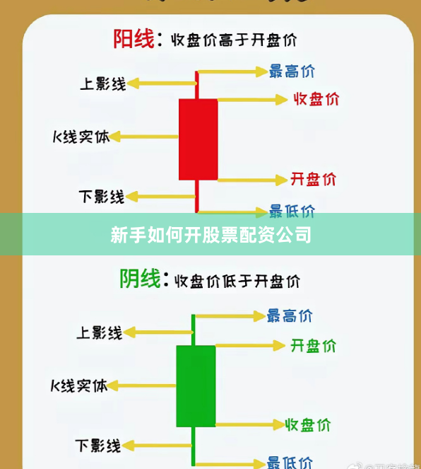 新手如何开股票配资公司